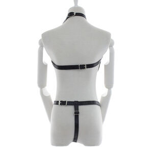 Dominan harness